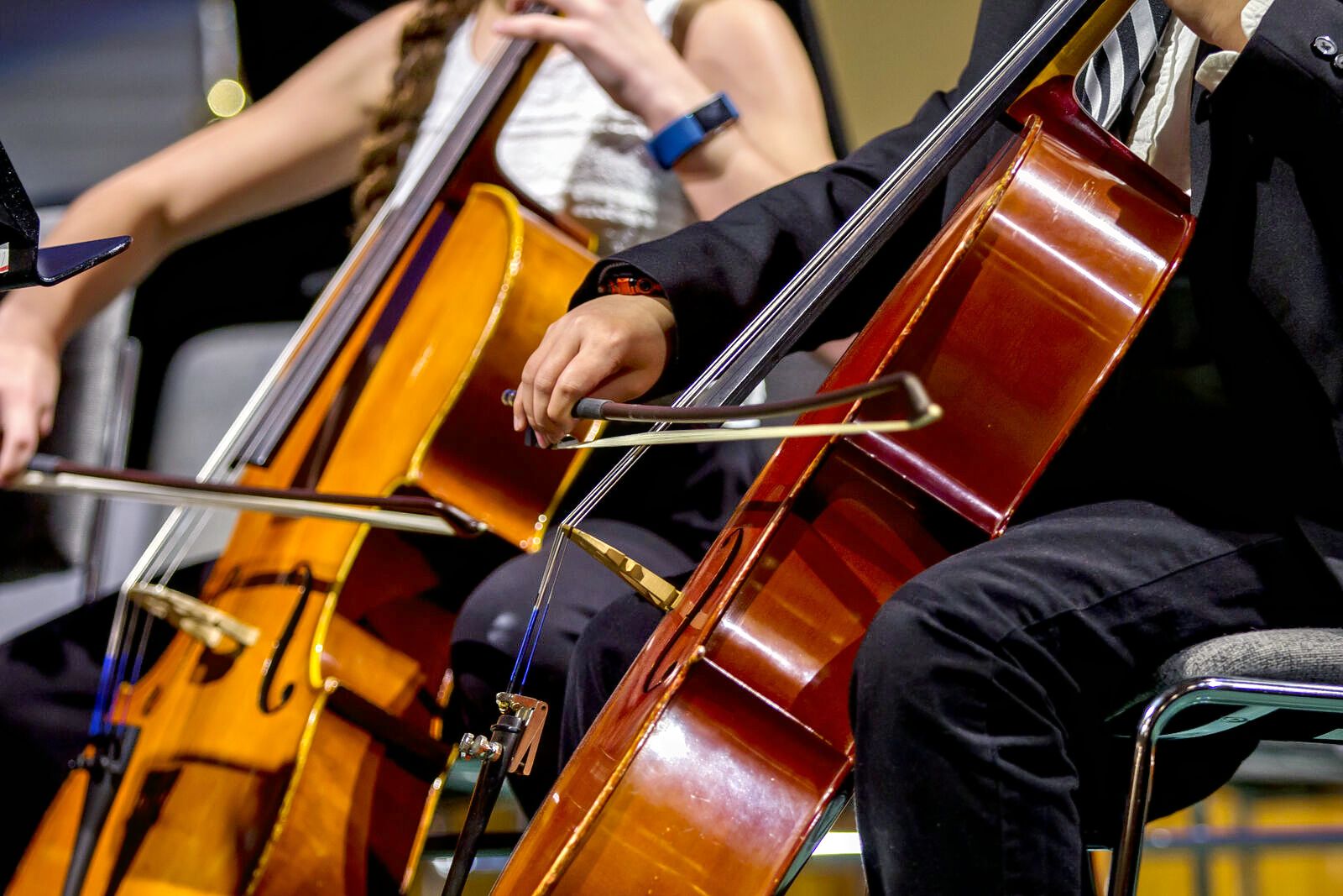 Young Musicians Symphony Orchestra live